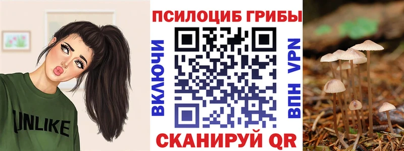 Галлюциногенные грибы мухоморы  купить закладку  кракен зеркало  Андреаполь 
